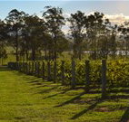 H Boutique Hotel - Pokolbin - Accommodation Asia