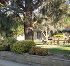 Hamilton Hume Motor Inn - Yass - Accommodation China
