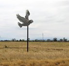 Gulargambone Hotel - Gulargambone - Accommodation Guide