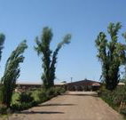 Newell Motor Inn - Narrandera - Accommodation Guide