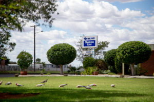 Quilpie Motor Inn - Accommodation Guide 4