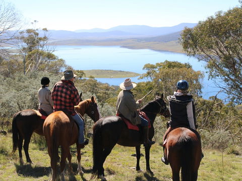 Reynella Homestead And Horseback Rides - Accommodation Asia 0