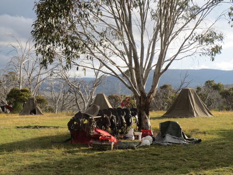 Reynella Homestead And Horseback Rides - Accommodation Asia 1
