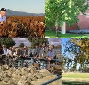 Southern Cross Motor Inn - Accommodation China