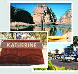 Red Gum Tourist Park - Accommodation China