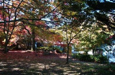 Kubba Roonga Blackheath - Accommodation Asia 4