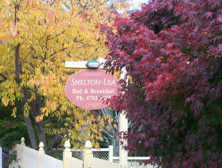 Shelton-lea Bed & Breakfast - Accommodation Asia 0