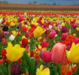 Golfview Lodge - Accommodation China