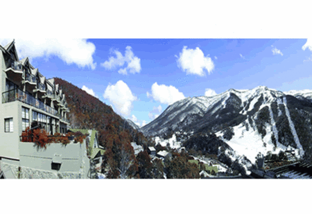 The Lantern Apartments - Accommodation Guide