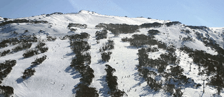 Thredbo Alpine Hotel - Accommodation Guide