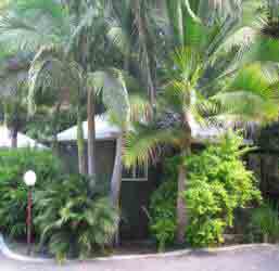 Nambour Rainforest Holiday Village - Accommodation Asia 1