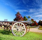 The Oaks Ranch and Country Club - Mossy Point - Accommodation Asia