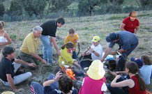 Linga Longa Farm Wingham - Accommodation Asia 3