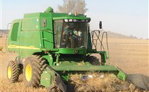 Linga Longa Farm Wingham - Accommodation Asia 4