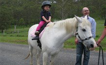 Mansfield Cottage Barrington Tops Accommodation - Accommodation Asia 0