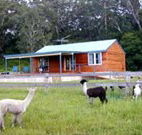 Moorallie Cottage Farm Stay - Accommodation China