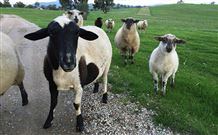 Mount Christopherson Retreat - Accommodation Asia 3