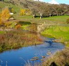 Ralda's Cottage - Accommodation Asia