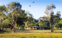 Starline Alpaca Farm Stay - Accommodation Guide 2