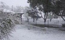 Tirrintippin - Accommodation Asia 0