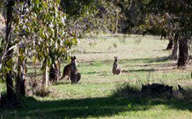 Amazing Country Escapes - Lakeview Luxury Cabins - Accommodation China 2