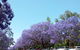 Andavine House Bed And Breakfast - thumb 5