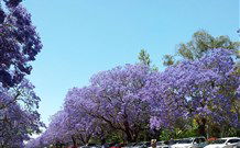 Andavine House Bed And Breakfast - Accommodation Guide 5