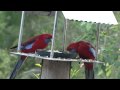 Bower At Broulee - Accommodation Asia 1