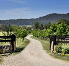 Pemberley Grange Hunter Valley Getaway - Accommodation Asia