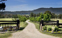 Pemberley Grange Hunter Valley Getaway - Accommodation Guide 0
