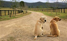 Pemberley Grange Hunter Valley Getaway - Accommodation Guide 1