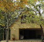 Rose Lindsay Cottage - Accommodation Guide