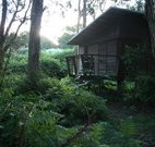 Mount Seaview Resort - Accommodation Asia