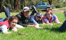 Murwillumbah  YHA Mount Warning - Accommodation China 2