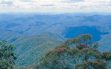 Lyrebird Studio - Accommodation China 2