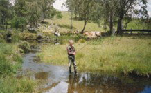 Milton Country Retreat - Accommodation Asia 1