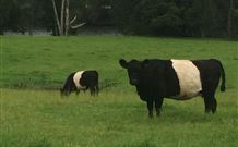 Mulberry Cottage - Accommodation Asia 1