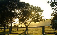 Pebble Bay Cottage - Accommodation China 4