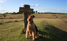 Pebble Bay Cottage - Accommodation China 7