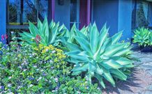 Jerrys Plains NSW Accommodation Guide