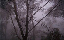 SeaChange Holiday Cottage And SeaStay Cottage - Accommodation Asia 4