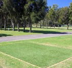 Spotted Gums on Hermitage - Accommodation Guide