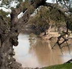 Valley View Cottage Hunter Valley - Accommodation Guide