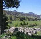 Woolshed Hill Estate - Accommodation Guide