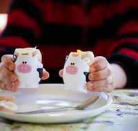 Cosy Cow Farmstay Bed and Breakfast - Accommodation China