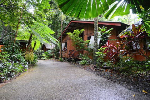 Cape Tribulation  - Accommodation China 4