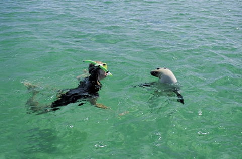 Coodlie Park - Port Kenny - Venus Bay - Accommodation Guide 3