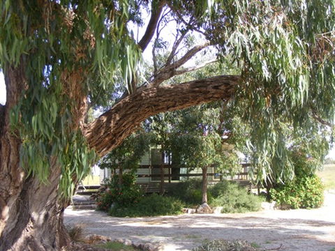 Coodlie Park - Port Kenny - Venus Bay - Accommodation Guide 4