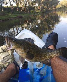 Dumaresq Homestead - Accommodation Asia 1