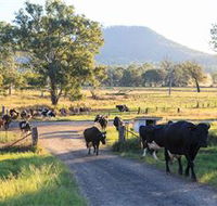 Tommerups Dairy Farmstay - Accommodation Guide